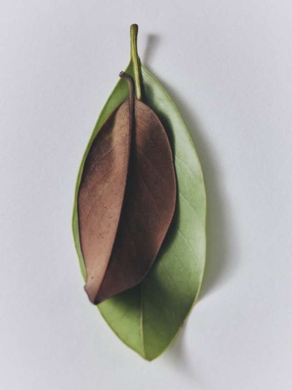 Florie Berger