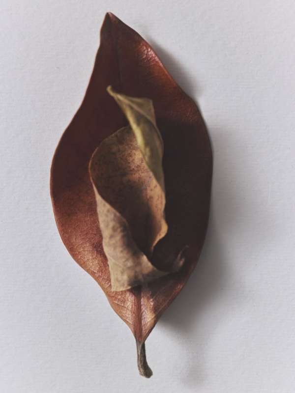 Florie Berger