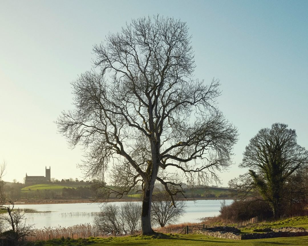 Mastermind Magazine |  Jul. 22