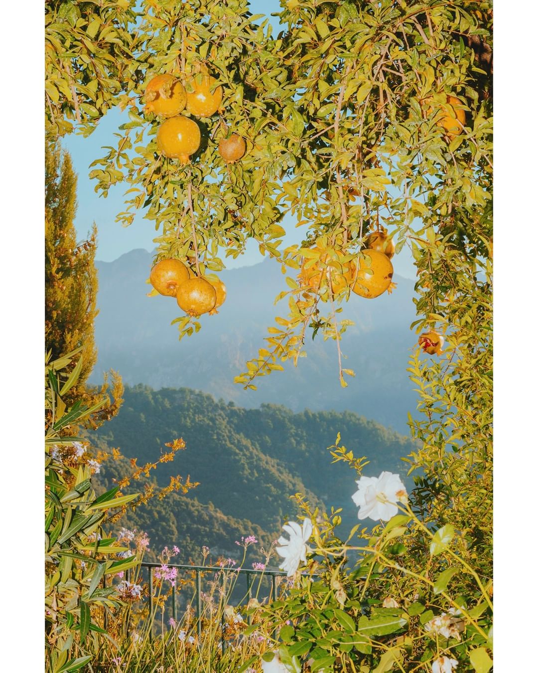 Belmond Hotel Caruso |  May. 23