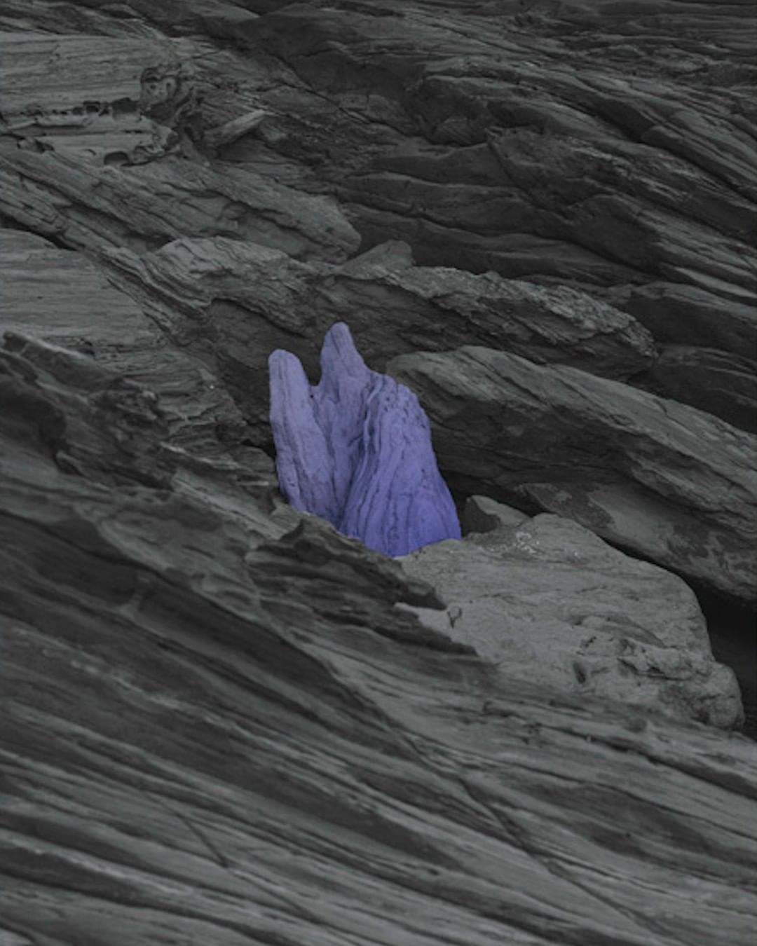 Paris Photo Fair |  Nov. 23