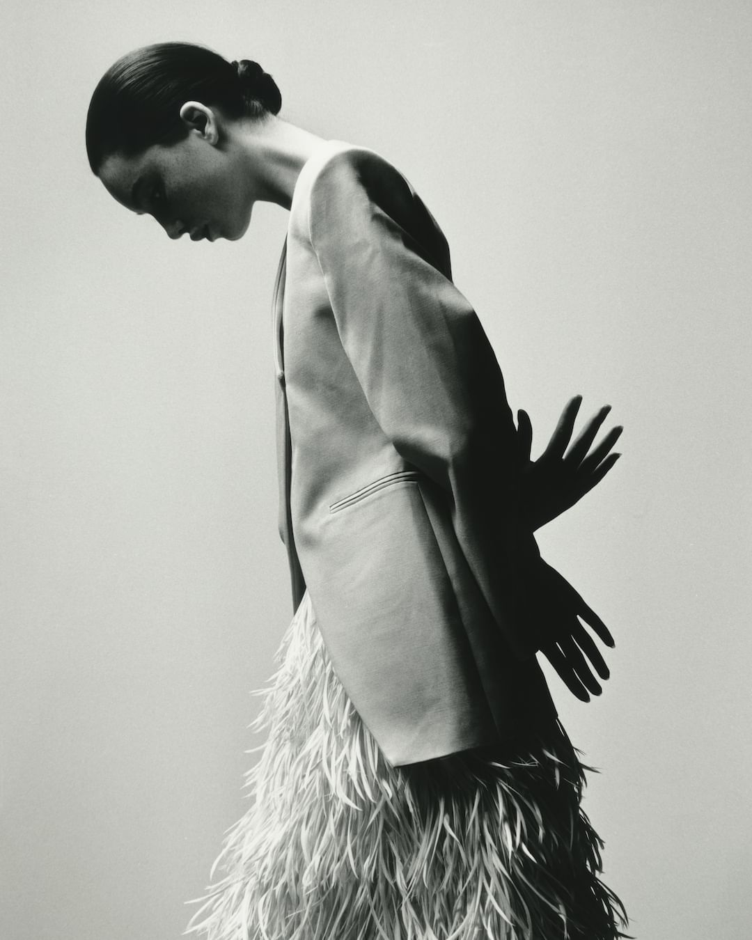 SILHOUETTE |  Mar. 24