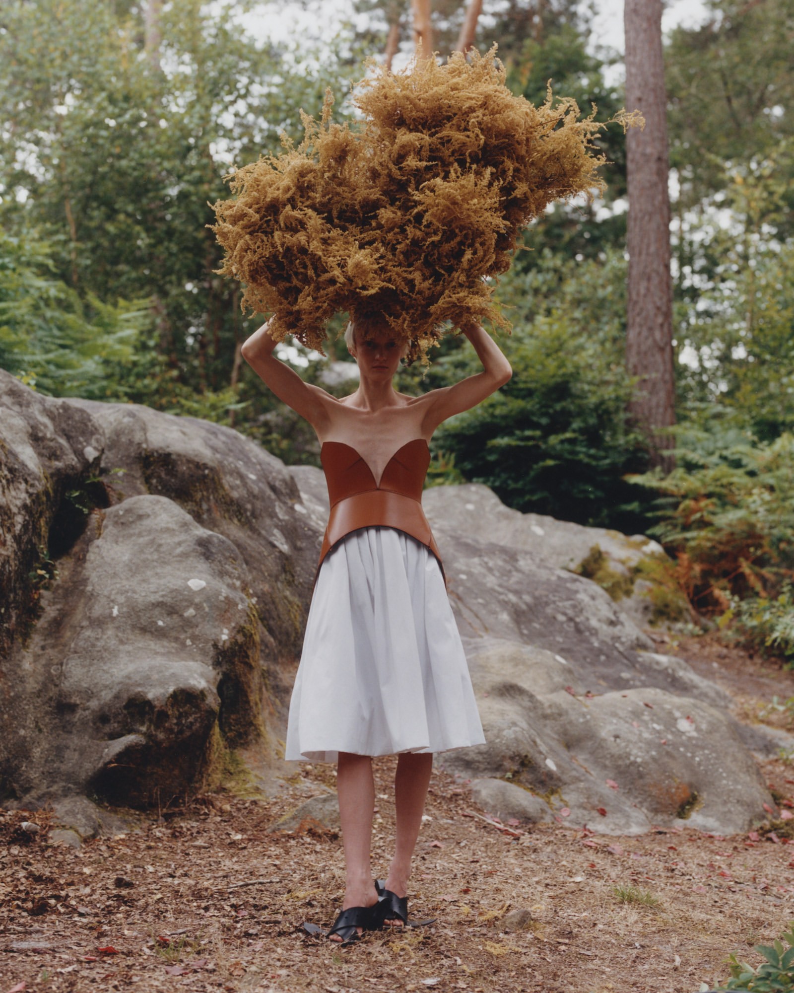 Denis Boulze