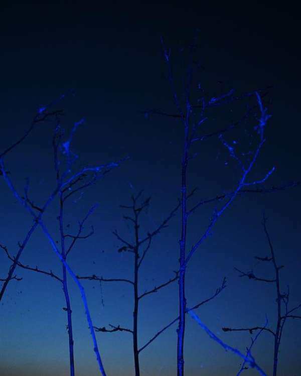 Ryan Hopkinson