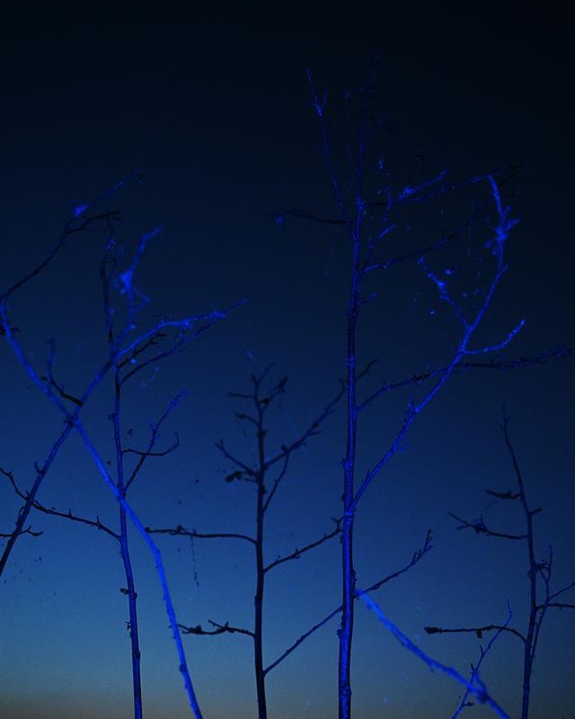 Ryan Hopkinson