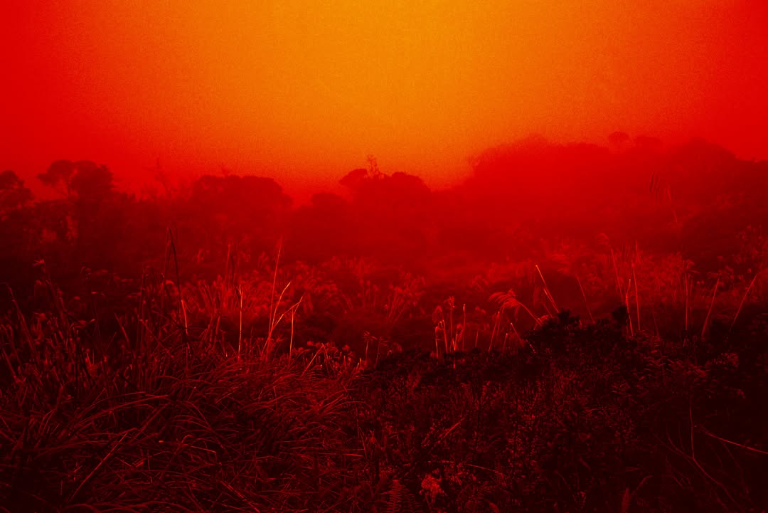 Marguerite Bornhauser X M Le Monde Jul. 25