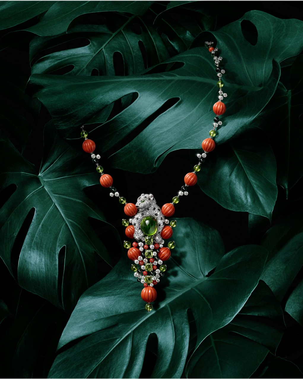 Iris Velghe X Cartier Aug. 25