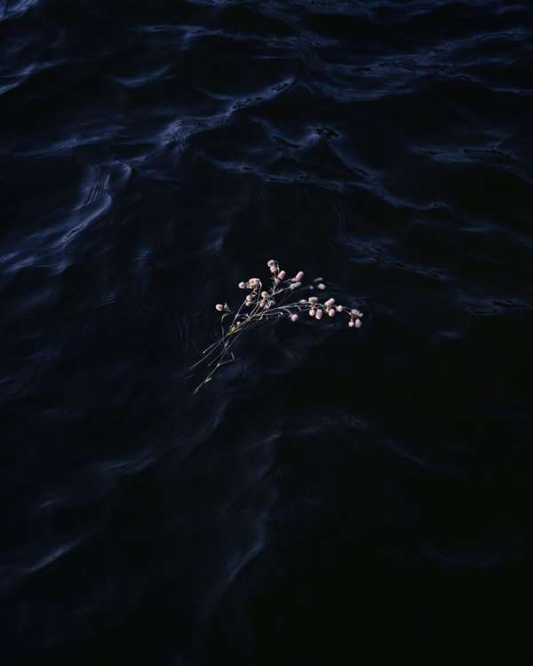 Ryan Hopkinson