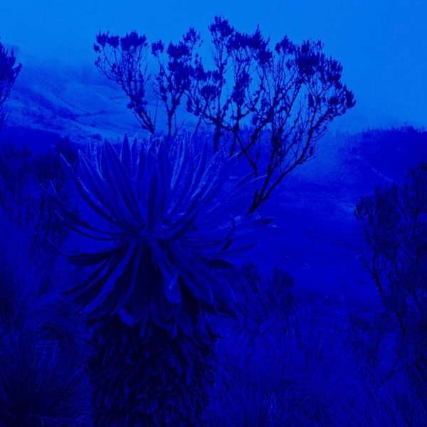 Marguerite Bornhauser