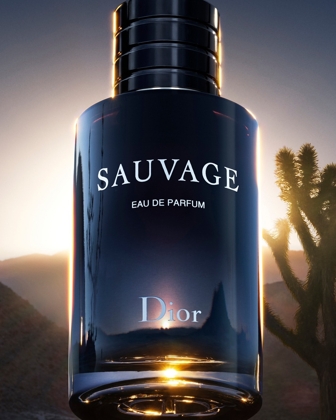 Ryan Hopkinson X Dior Beauty Sep. 25