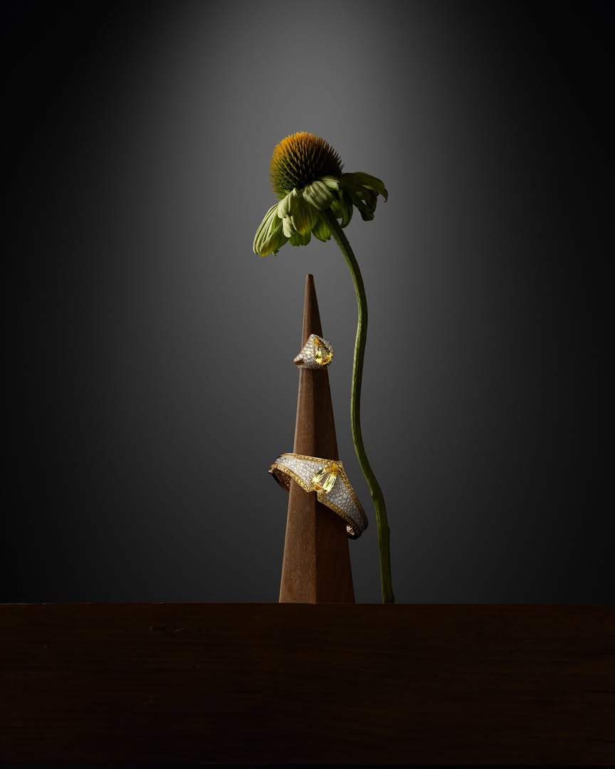 Laziz Hamani X Something About Rocks Oct. 25