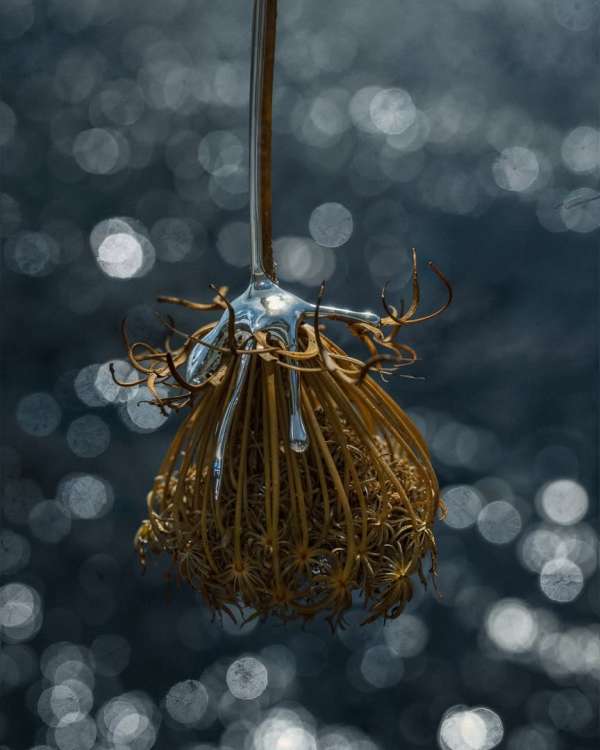 Ryan Hopkinson
