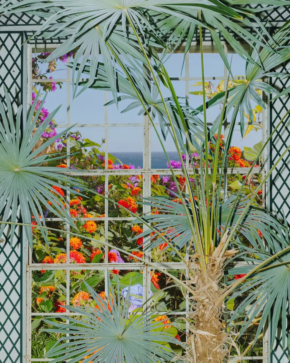 Letizia Le Fur Dec. 25