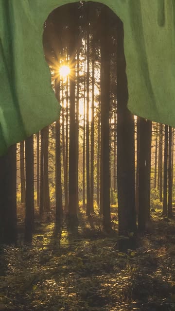 Rosanna Webster X Ralph Lauren Mar. 26