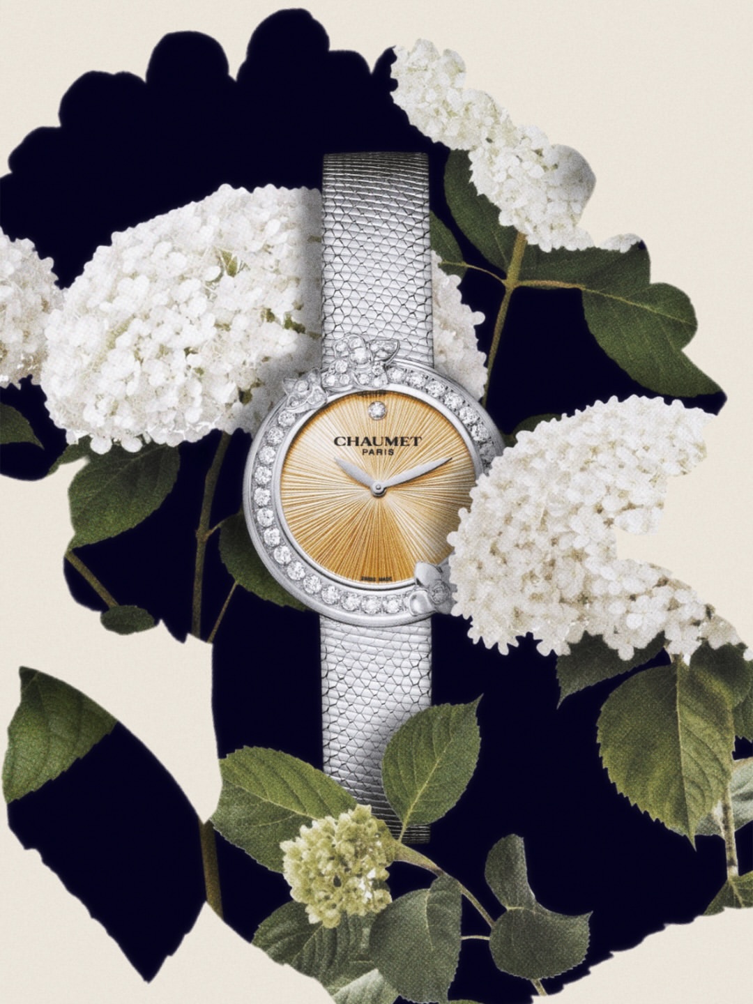 Rosanna Webster X Chaumet Apr. 26