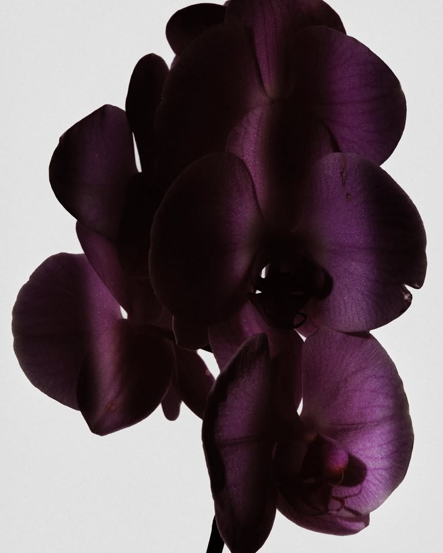 Martin Vallin X Flowergun May. 26