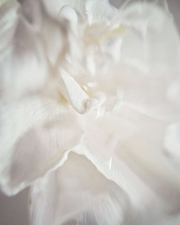 Ryan Hopkinson