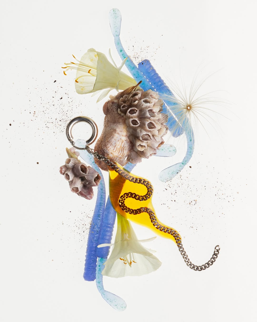 Vanessa Schindler |  Aug. 26