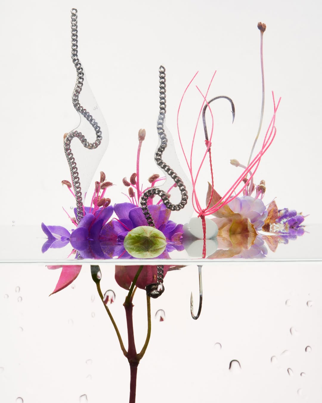Vanessa Schindler |  Aug. 26