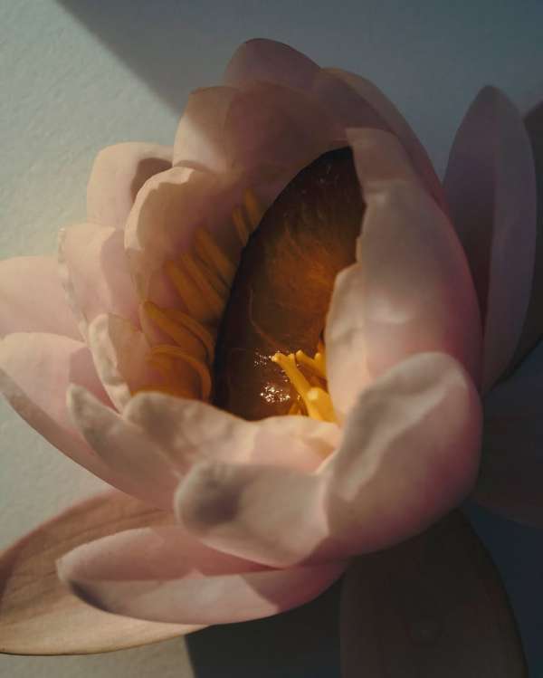 Ryan Hopkinson