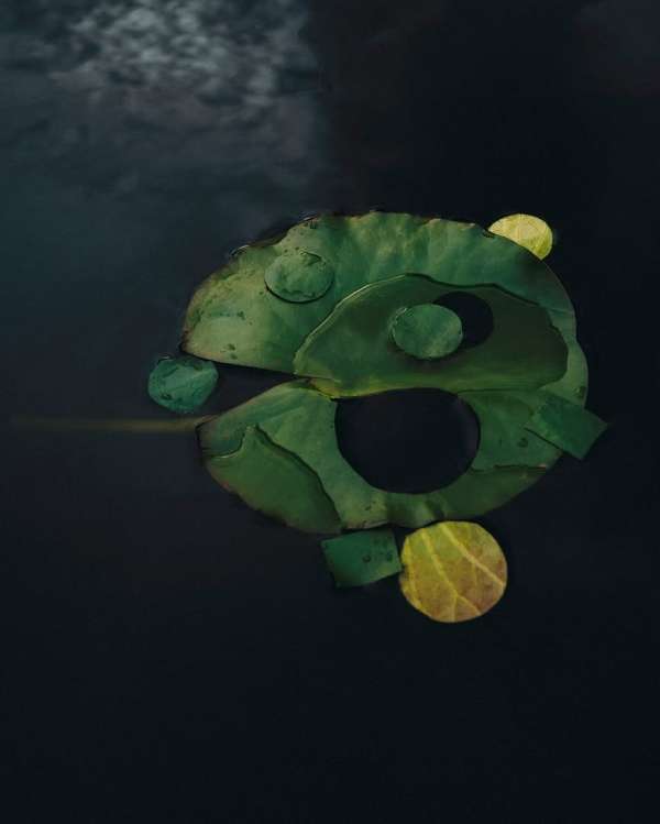 Ryan Hopkinson