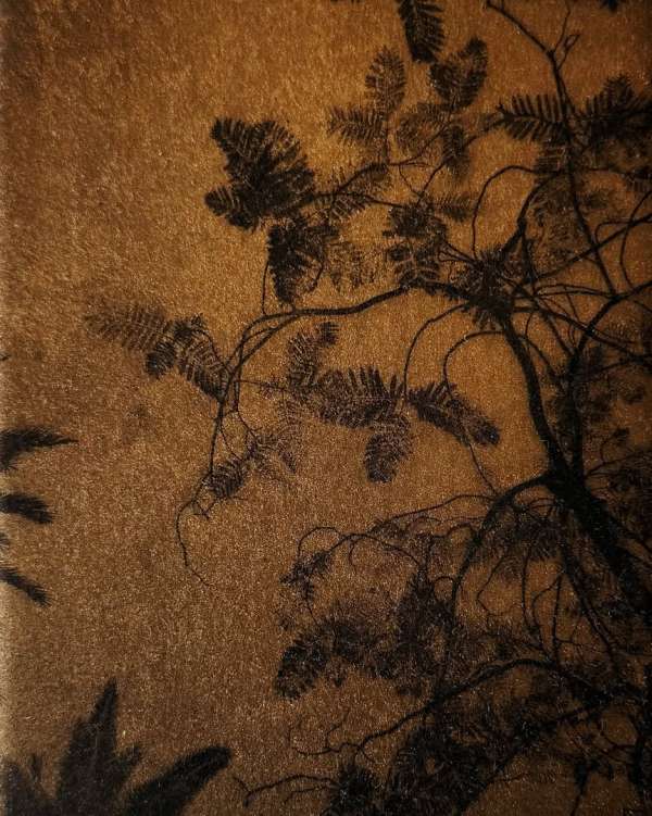 Marguerite Bornhauser