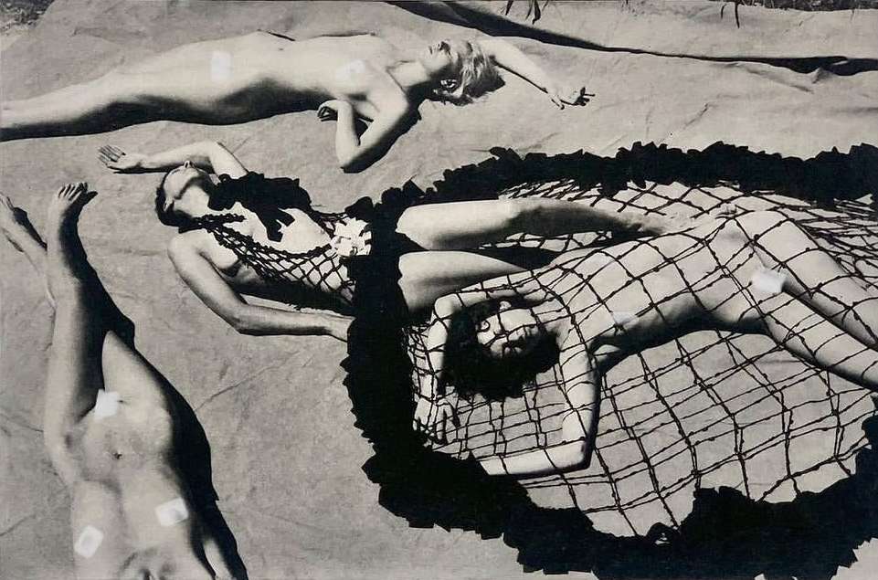 Carcy Magazine |  Aug. 23