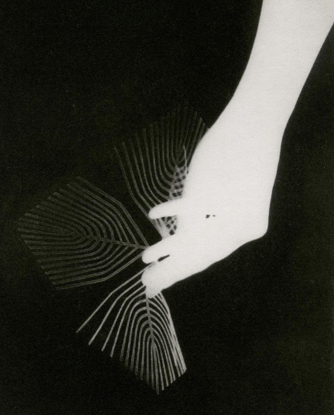 Document Journal |  Oct. 23