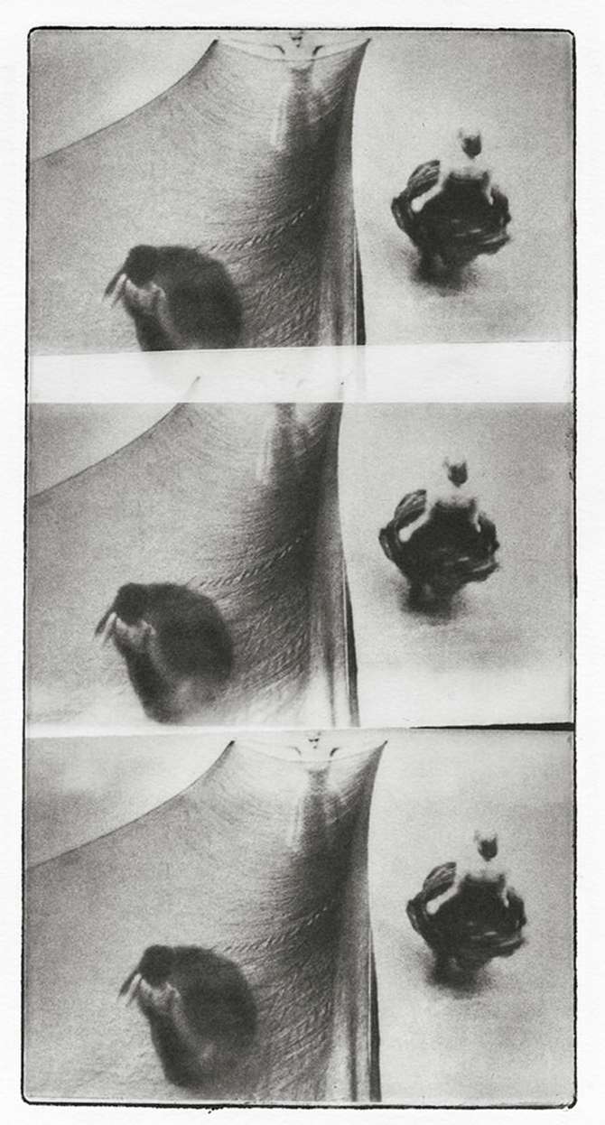 <a href="/chantal-elisabeth-ariens">Chantal Elisabeth Ariens</a> X Fisheye Magazine <span style="text-transform: none; white-space: nowrap;">Mar. 26</span>