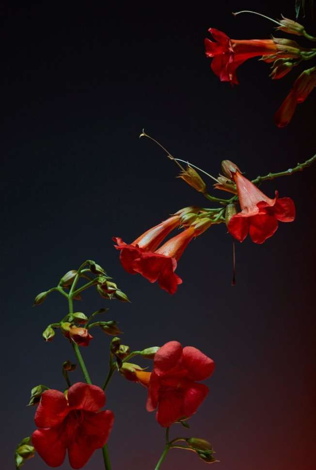 <a href="/martin-sigal">Martin Sigal</a> <span style="text-transform: none; white-space: nowrap;">Apr. 23</span>