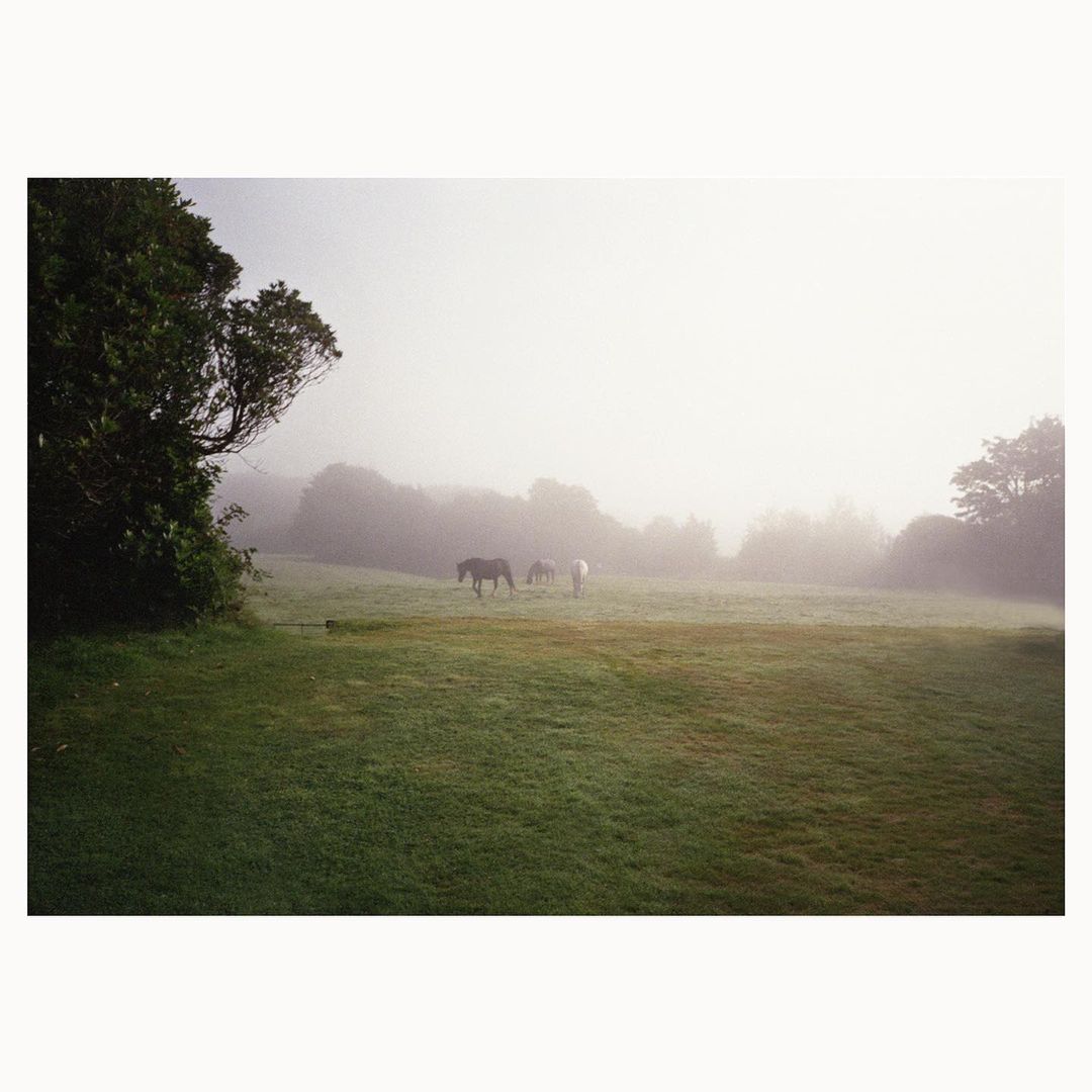 Frances Tulk-Hart