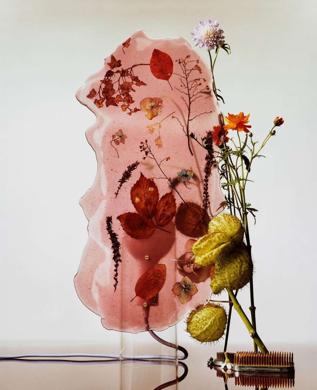 M Le Monde |  Nov. 22