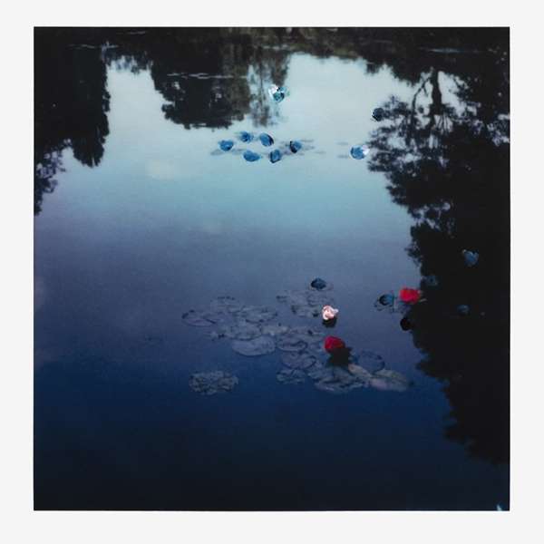 Francois Halard