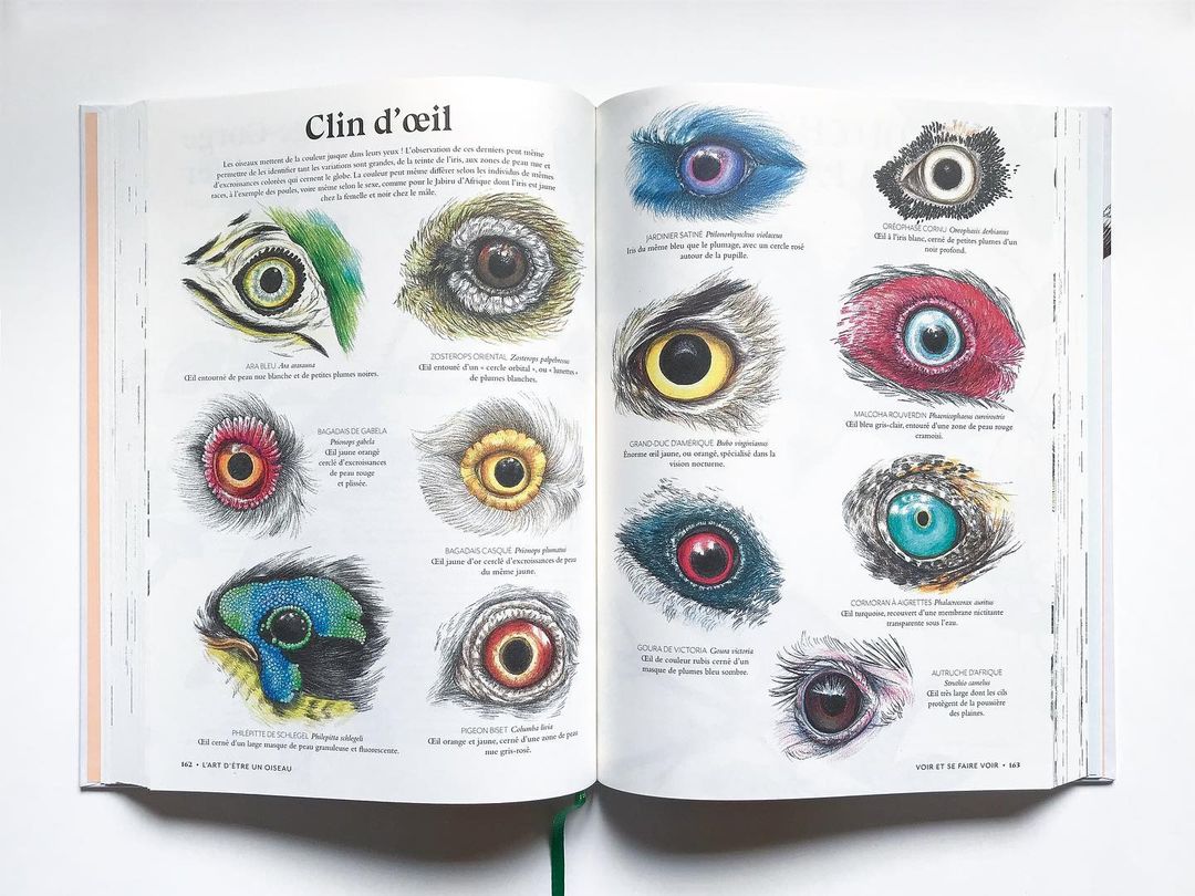 Éditions EPA |  Sep. 22