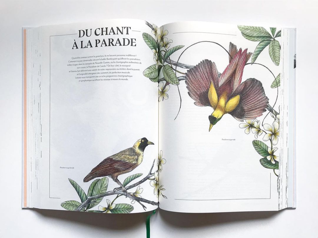 Éditions EPA |  Sep. 22