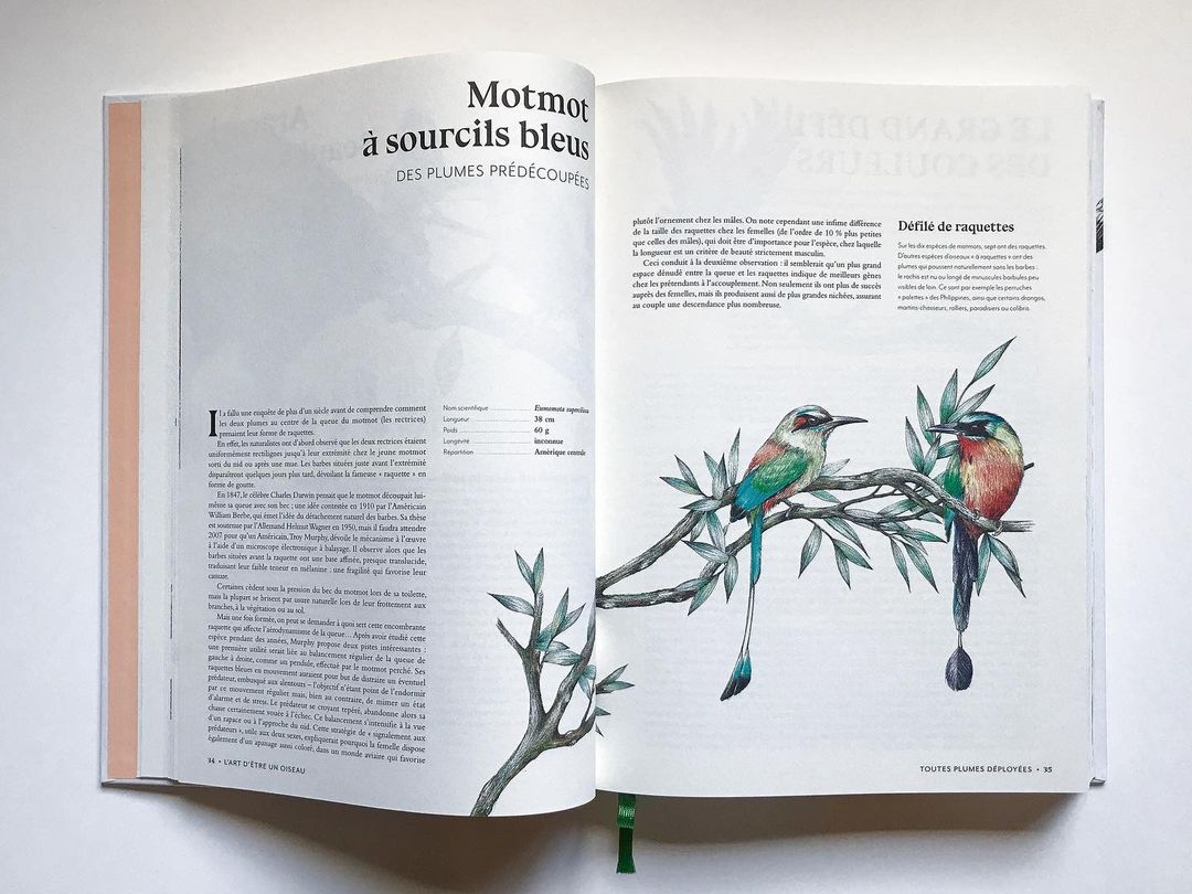 Éditions EPA |  Sep. 22