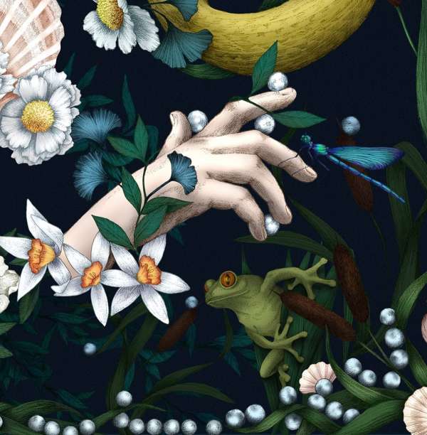 Frédérique Vernillet