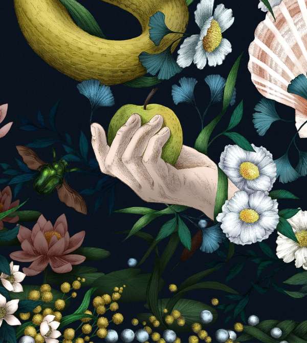 Frédérique Vernillet