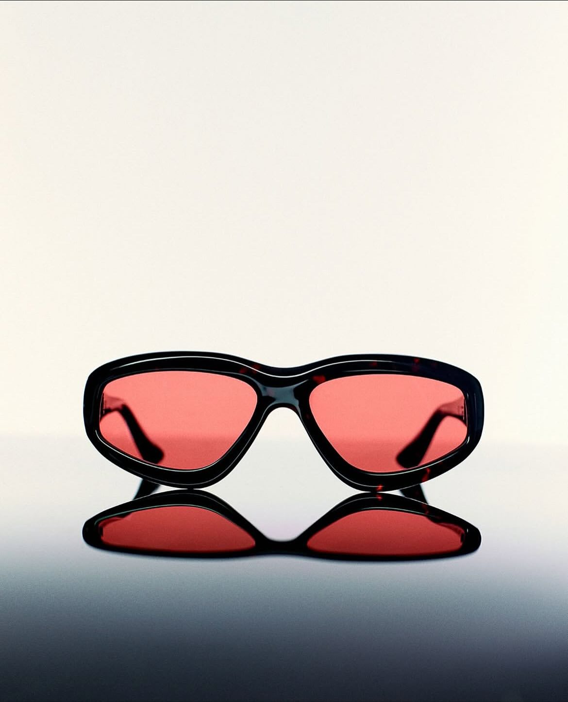 @porttanger Bast Collection photographed by @steveharries .