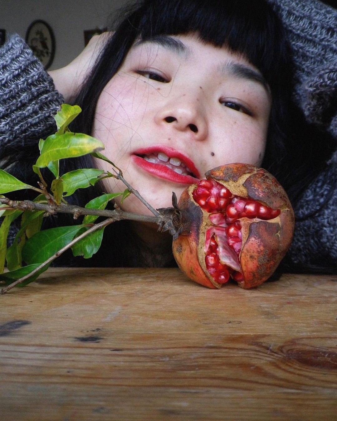 The Plant |  Nov. 22