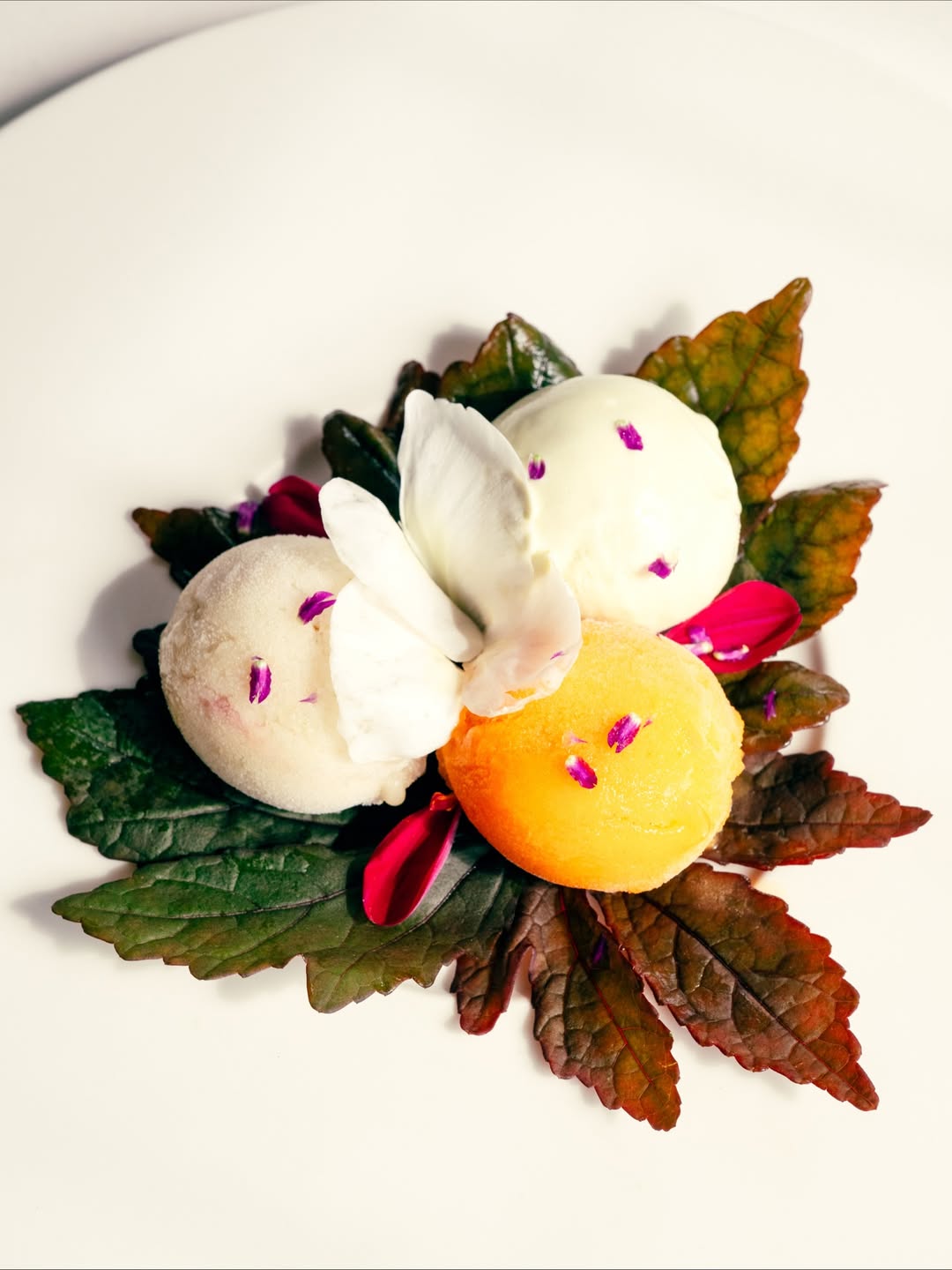 Gabriela Herman X Travel + Leisure Nov. 25