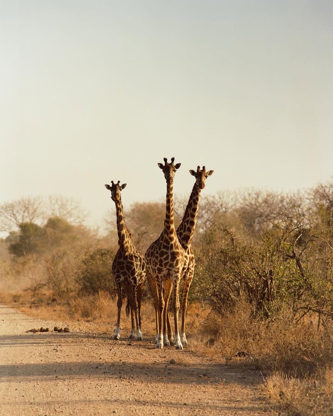 Beyond Noise |  Nov. 25