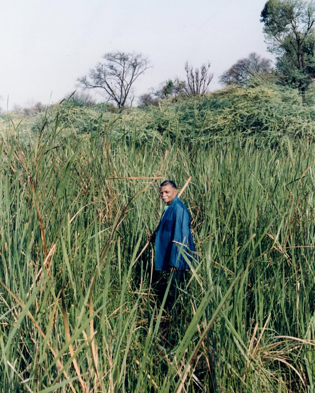 Tara L. C. Sood X Atmos Nov. 25