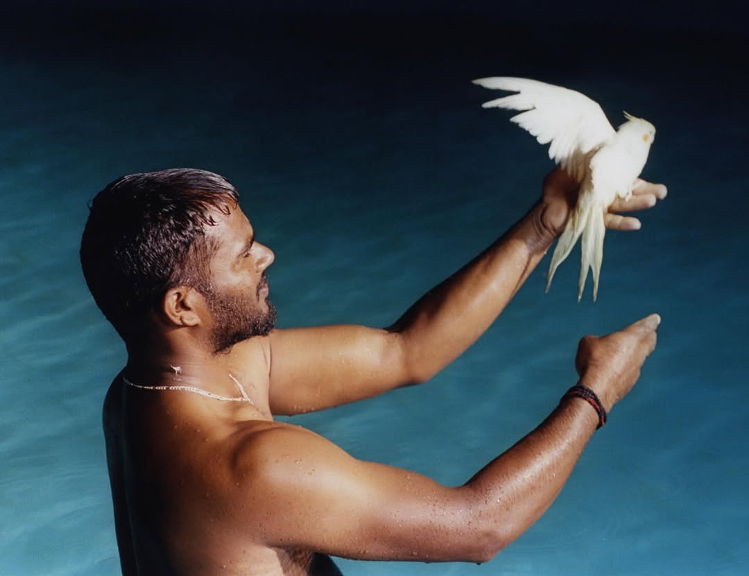 Tara L. C. Sood Jan. 26