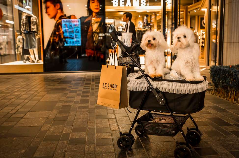 Christopher Pillitz Nov. 25