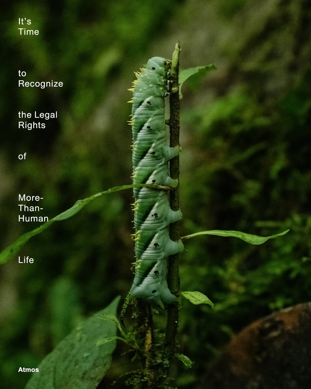 <a href="/gleeson-paulino">Gleeson Paulino</a> X Atmos <span style="text-transform: none; white-space: nowrap;">Dec. 25</span>