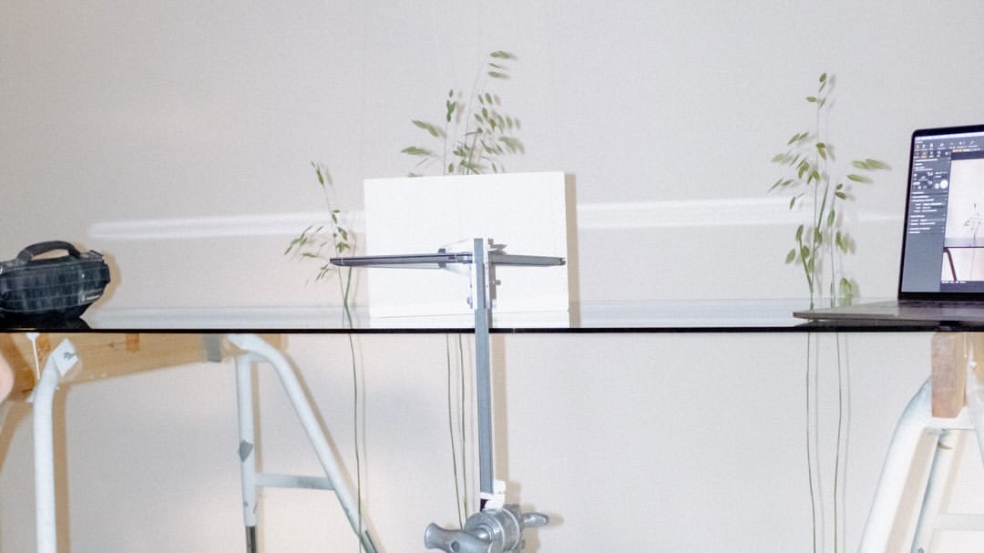 Golden Retriever X Asus