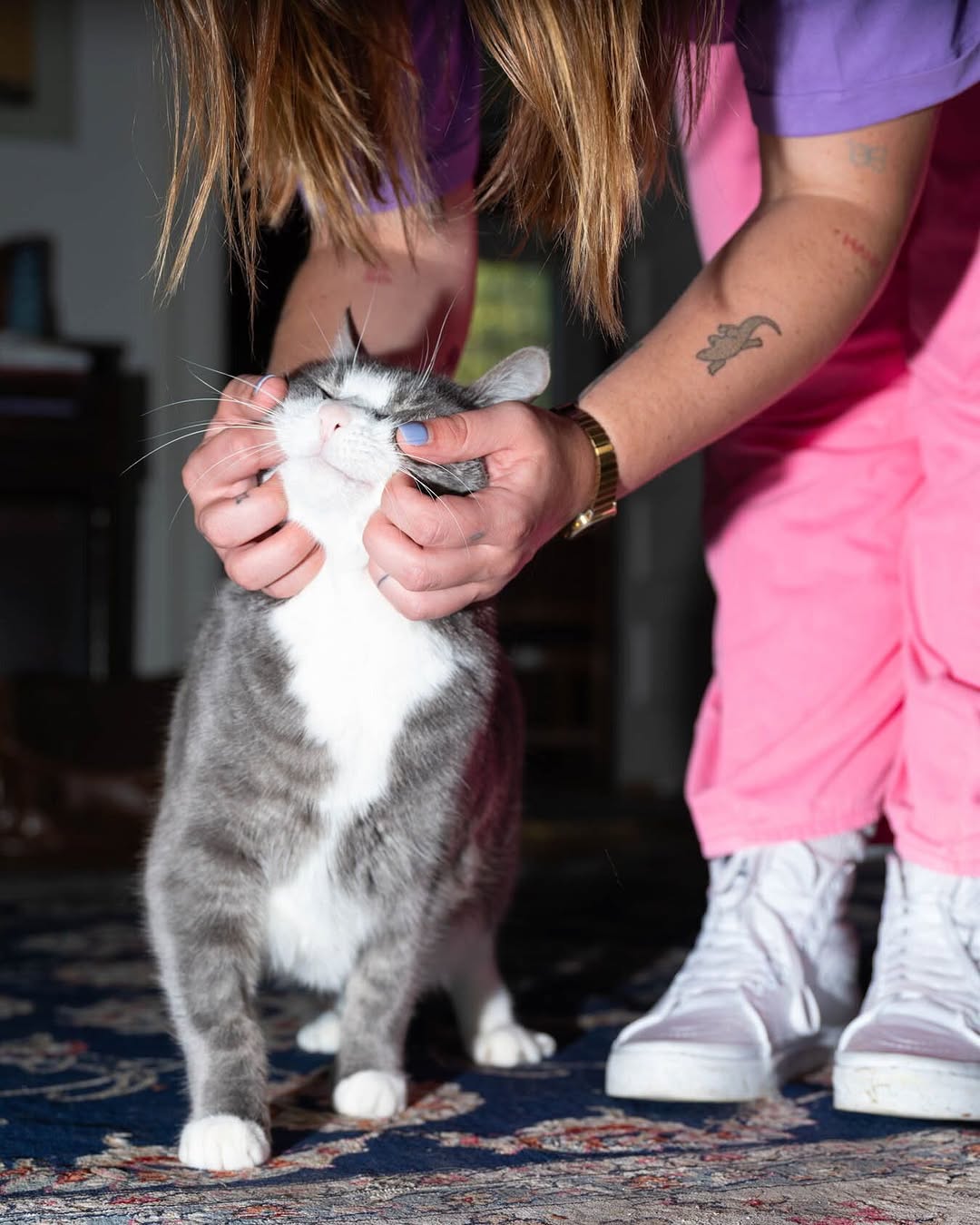 Catnip Magazine |  Apr. 26