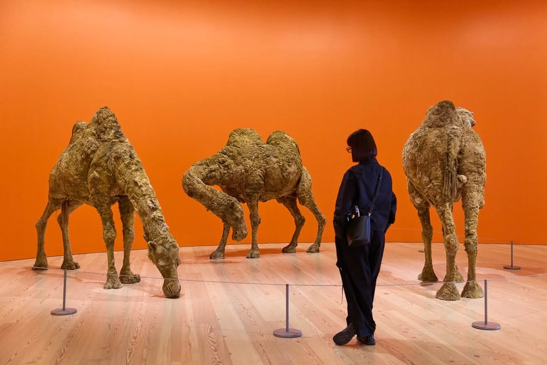 Gus Powell X Whitney Museum of American Art Aug. 26