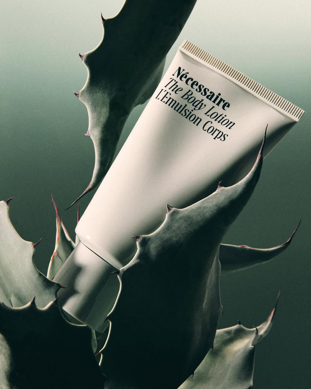 Gary Petersen X Nécessaire